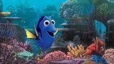 A publicity image for the 2013 Walt Disney Company - Pixar movie Finding Dory. - Provided courtesy of Walt Disney Pictures