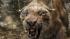 'After Earth' movie clip 3: Jaden Smith battles giant cat Jaden Smiths character, Cypher Raige, battles a giant cat in this scene from the 2013 movie After Earth. - Provided courtesy of none / Columbia Pictures