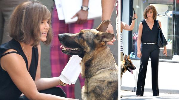 Jennifer Aniston wears a wig on the New York City set of the 2014 movie Squirrels To The Nuts and films a scene with a dog on July 17, 2013. - Provided courtesy of Freddie Baez / Javier Mateo / startracksphoto.com Jennifer Aniston wears a wig on the New York City set of the 2014 movie Squirrels To The Nuts and films a scene with a dog on July 17, 2013. - Provided courtesy of Freddie Baez / Javier Mateo / startracksphoto.com