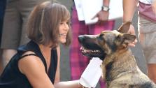 Jennifer Aniston wears a wig on the New York City set of the 2014 movie Squirrels To The Nuts and films a scene with a dog on July 17, 2013. - Provided courtesy of Freddie Baez / Javier Mateo / startracksphoto.com