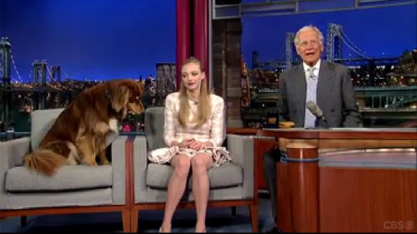 Amanda Seyfried and her dog, Finn, appear on The Late Show With David Letterman on July 30, 2013. The actress is promoting her newest film, Lovelace. - Provided courtesy of CBS Amanda Seyfried and her dog, Finn, appear on The Late Show With David Letterman on July 30, 2013. The actress is promoting her newest film, Lovelace. - Provided courtesy of CBS
