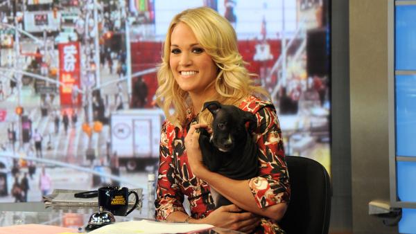 Guest co-host Carrie Underwood appears on ABCs Good Morning America (GMA) with a puppy -- who is up for adoption -- on Monday, Aug. 12, 2013. - Provided courtesy of ABC Photo / Donna Svennevik Guest co-host Carrie Underwood appears on ABCs Good Morning America (GMA) with a puppy -- who is up for adoption -- on Monday, Aug. 12, 2013. - Provided courtesy of ABC Photo / Donna Svennevik
