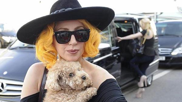 Lady Gaga, holding her dog, Fozzi, greets fans at the Hotel Imperial in Vienna, Austria on Aug. 17, 2012. - Provided courtesy of Dalle / Startraksphoto.com