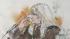 Michael Jackson trial: Debbie Rowe testifies A court sketch shows Debbie Rowe, Michael Jacksons ex-wife, crying on the stand during his wrongful death trial on Thursday, Aug. 15, 2013. - Provided courtesy of KABC / Mona S. Edwards