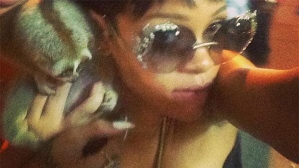Rihanna appears with an endangered primate in Thailand, as seen in a photo posted on her Instagram page on Sept. 20, 2013. - Provided courtesy of instagram.com/p/efvnHRBM3B/ instagram.com/badgalriri Rihanna appears with an endangered primate in Thailand, as seen in a photo posted on her Instagram page on Sept. 20, 2013. - Provided courtesy of instagram.com/p/efvnHRBM3B/ instagram.com/badgalriri