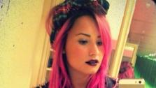 Demi Lovato debuts pink hair in this photo posted on her Twitter page on Jan. 23, 2014 ahead of her Neon Lights Tour, which begins on Feb. 11. - Provided courtesy of pic.twitter.com/eEizpn7GBq / twitter.com/ddlovato/status/426629666326069248/photo/1