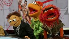 The Muppets greet OTRC at the red carpet premiere of Muppets Most Wanted in Hollywood, California on March 11, 2014. - Provided courtesy of OTRC