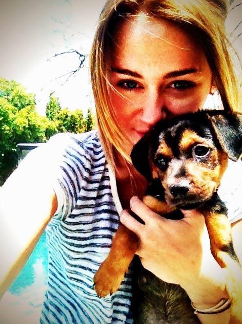 Cyrus adopted a fourth dog, a Rottweiler and...