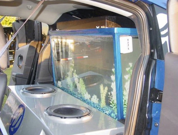 Celebrity Fish Tanks