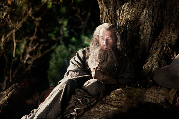 Ian McKellen reprises his role as Gandalf the...