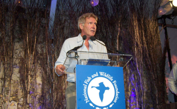 Harrison Ford appears in a photo from the 2008...