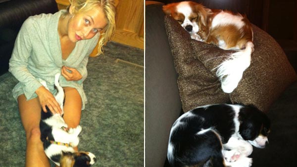 Julianne Hough, Lexi and Harley appear in a...