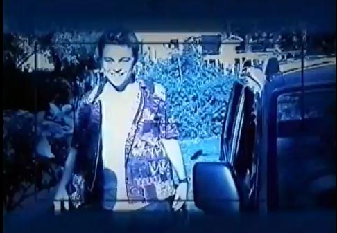 Leonardo DiCaprio in a scene from the Suzuki...
