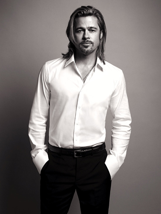 Brad Pitt appears in an official photo for...