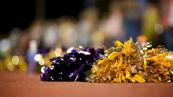 A photo of pom poms.