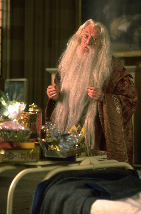 Professor Albus Dumbledore (Richard Harris)...