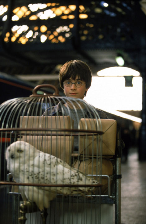 Harry Potter (Daniel Radcliffe) and his owl,...