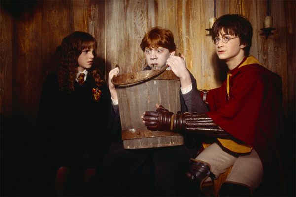 Hermione Granger (Emma Watson), Ron Weasley...