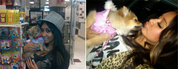 'Jersey Shore' star, Nicole 'Snooki' Polizzi has a dog named Gia, who she calls her 'princess'.