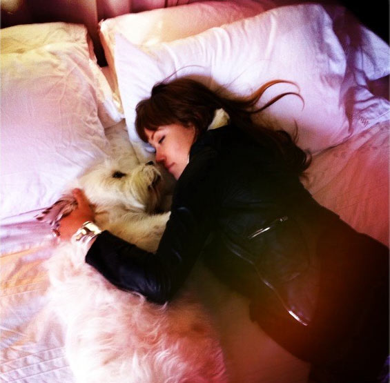 Olivia Wilde appears with one of her dogs in a...