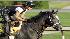 Kentucky Derby hopeful General Quarters is...