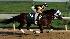 Kentucky Derby hopeful Flying Private, with...