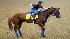 Jockey Chris Rosier takes Kentucky Derby...