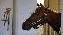 Kentucky Derby hopeful Friesan Fire is seen in...