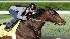Jockey Mike Smith guides Kentucky Derby hopeful...