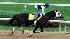 Jockey Joe Talamo takes Kentucky Derby hopeful...