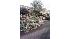 Julio Berrios of Brooklyn shot these pictures at...