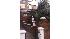 Julio Berrios of Brooklyn shot these pictures at...