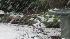 Photo from Joan Shaughnessy in Roxbury Township,...