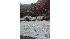 Photo from Sharon Schreiber in Stormville, NY