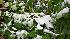 Photo from M. Van Wart in West Milford, NJ