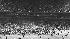  Pandemonium breaks out after the Yankees' decisive 8-4 victory over the Los Angeles Dodgers at Yankee Stadium after game 6 of the World Series, Oct. 18, 1977. A member of the beefed-up security force on hand for the game reported that a 