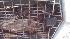New Jersey eagle rescue