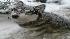Sent in by Mike Gerhart in Ulster Park, NY