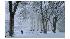 winter storm