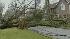 Crews work to restore power, clean up LI ::