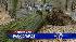 Storms leaves trees down across NYC parks ::