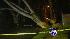Live wires and downed trees plague Staten... ::