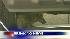 Coyote on the run in Manhattan ::