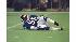 Lawrence Taylor