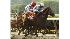 Drosselmeyer wins Belmont Stakes