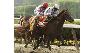 Drosselmeyer wins Belmont Stakes
