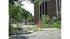 Tree down in Bridgeport, Conn. following a...