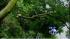 Strong storm rocks Long Island and Conn.