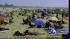 Long Island beaches filled for holiday ::