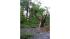 Storm damage in the Riverdale section of the...